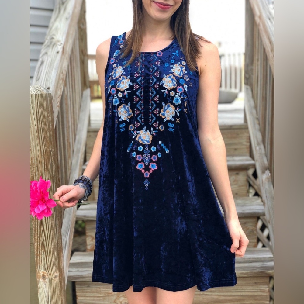 NWT blue velvet dress with embroidery- multiple sizes!